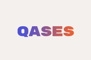 Qases 美国个性手机壳购物网站